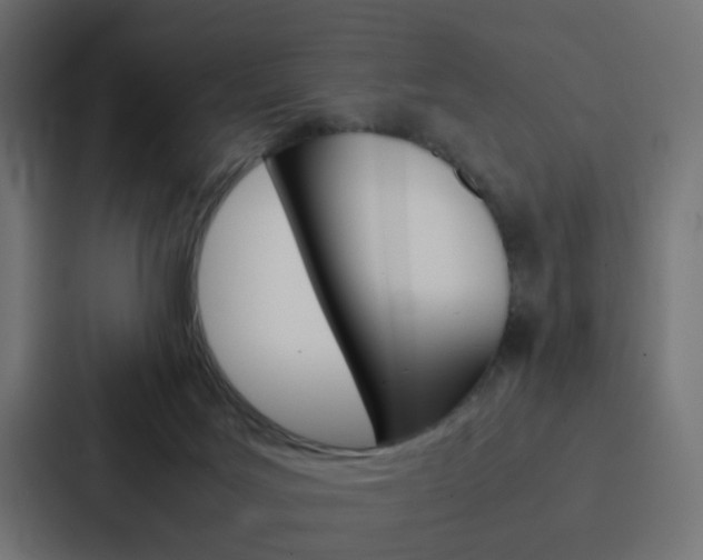 X0000088230027200705151058