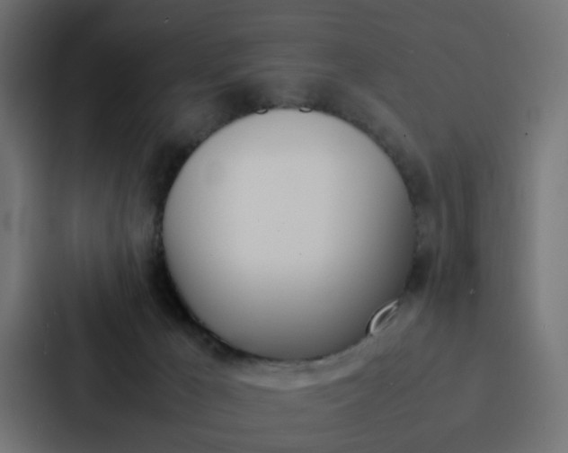 X0000088230029200705151058