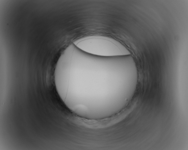 X0000088230030200705151058