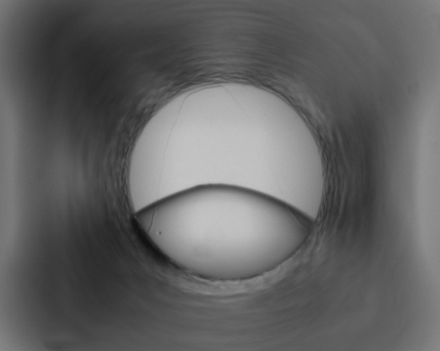 X0000088230031200705151058