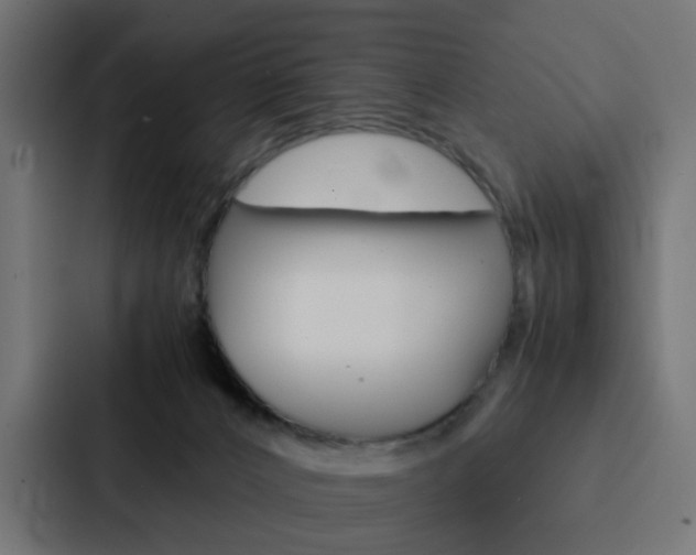 X0000088230032200705151058