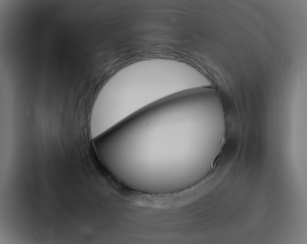 X0000088230033200705151058