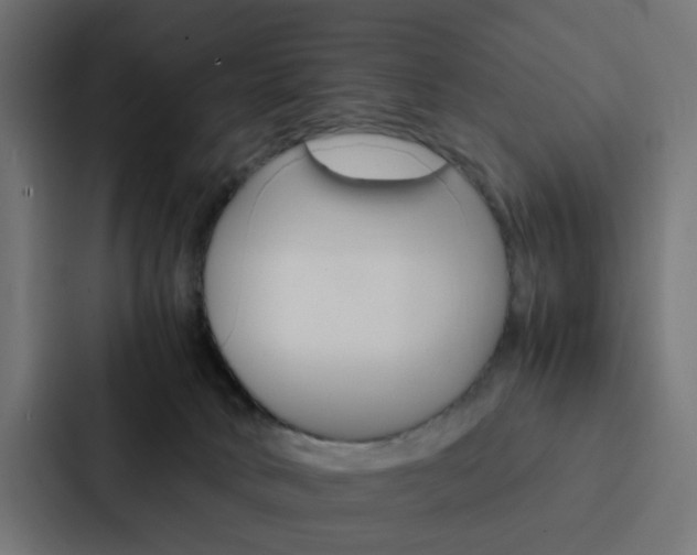 X0000088230034200705151058