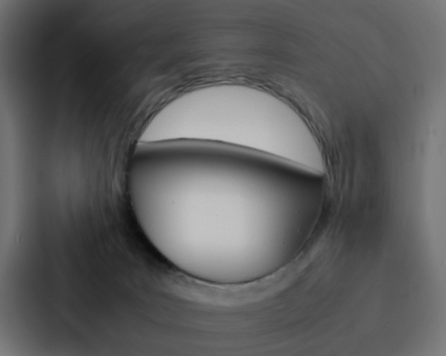 X0000088230035200705151058