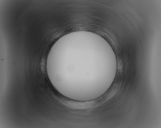 X0000088230036200705151058
