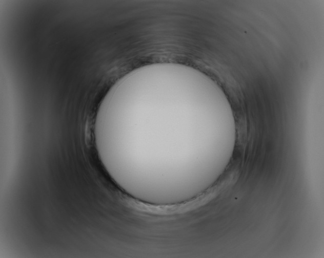 X0000088230038200705151057