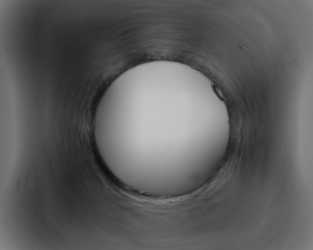 X0000088230040200705151057