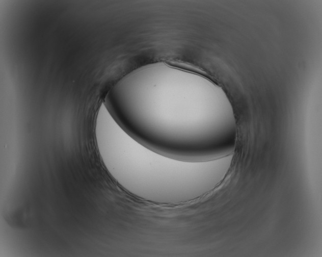 X0000088230041200705151057