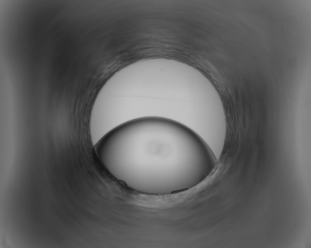 X0000088230045200705151057