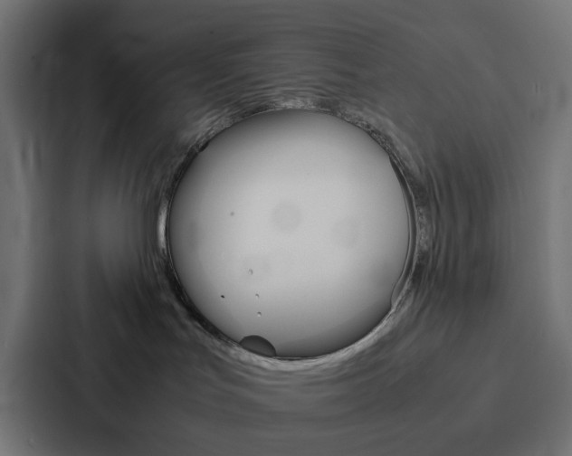 X0000088230047200705151057