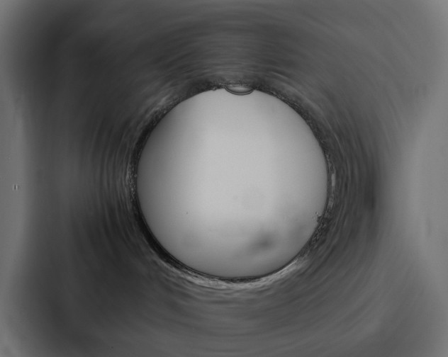 X0000088230048200705151057