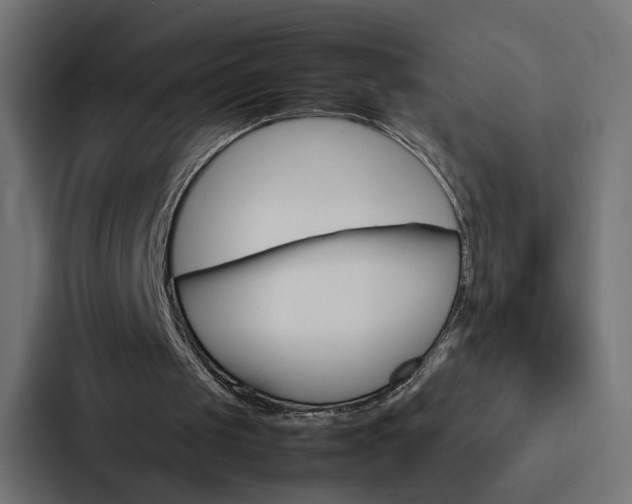 X0000088230049200705151057