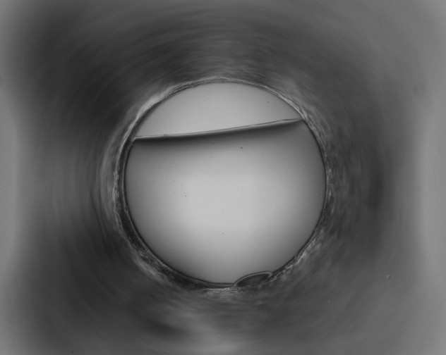 X0000088230050200705151057