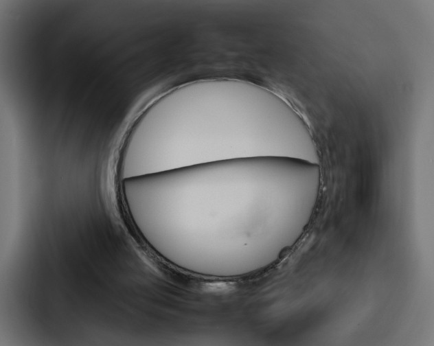X0000088230053200705151057