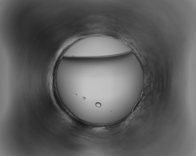 X0000088230054200705151057