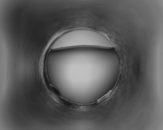X0000088230056200705151057