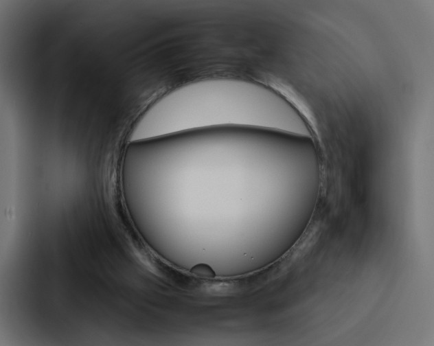 X0000088230057200705151057