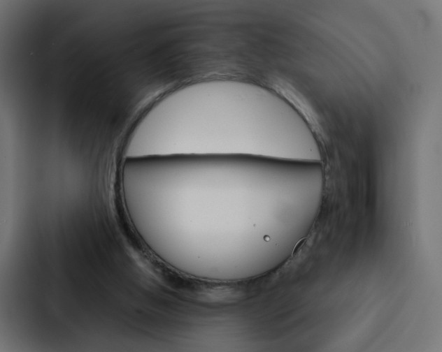 X0000088230058200705151057