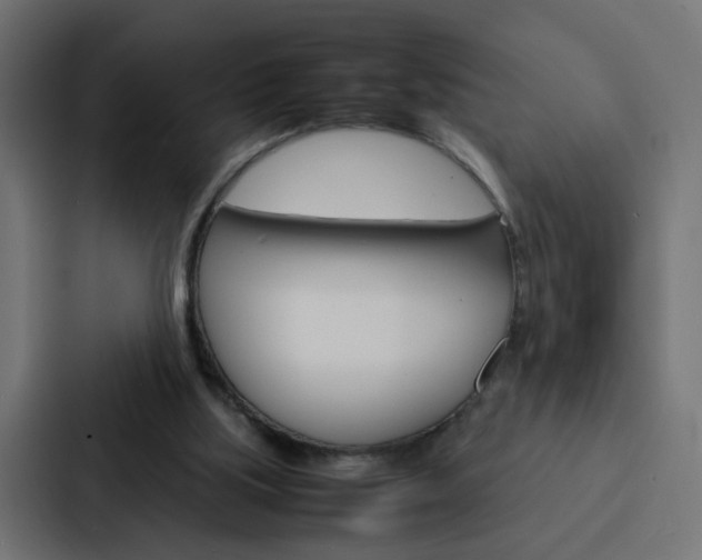 X0000088230059200705151057