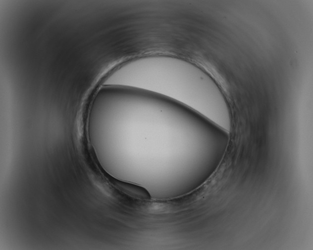 X0000088230060200705151057