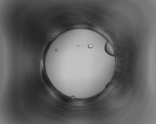 X0000088230061200705151057