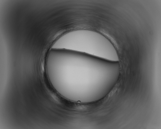 X0000088230062200705151057