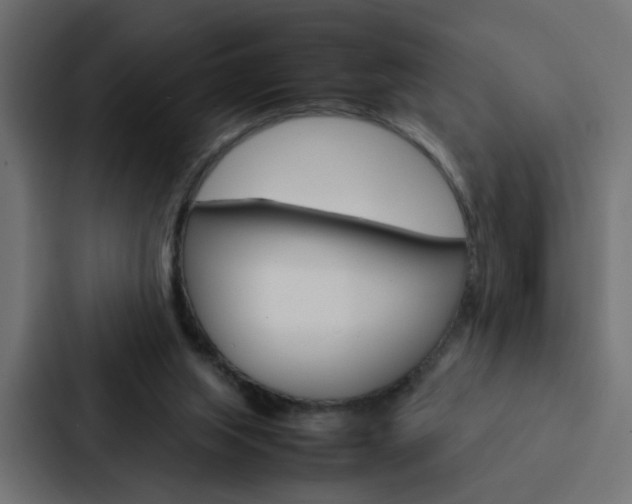 X0000088230063200705151057