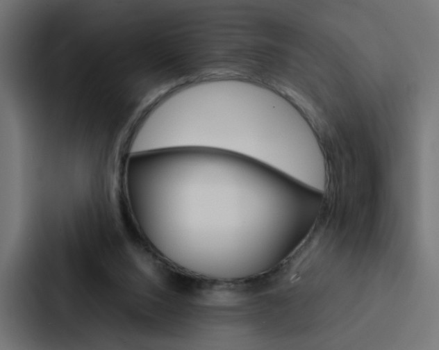 X0000088230064200705151057