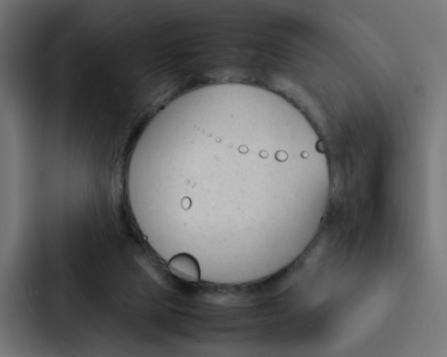 X0000088230065200705151057