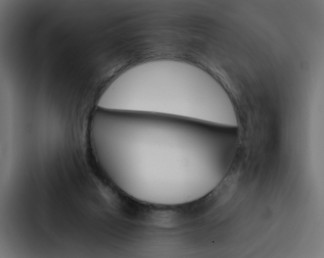 X0000088230066200705151057