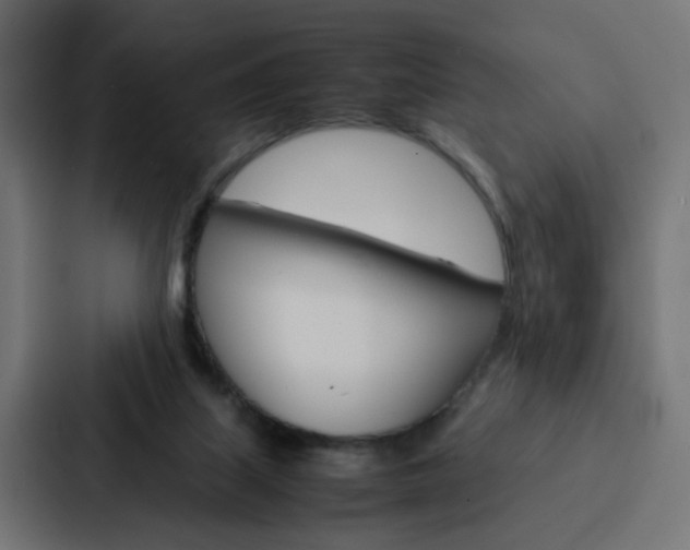 X0000088230067200705151057