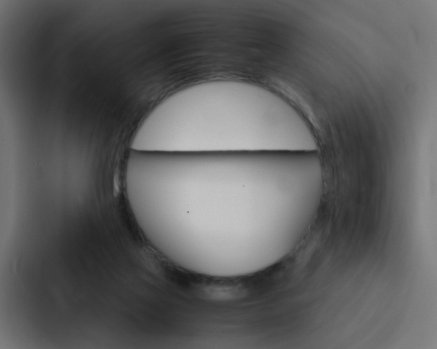 X0000088230069200705151057
