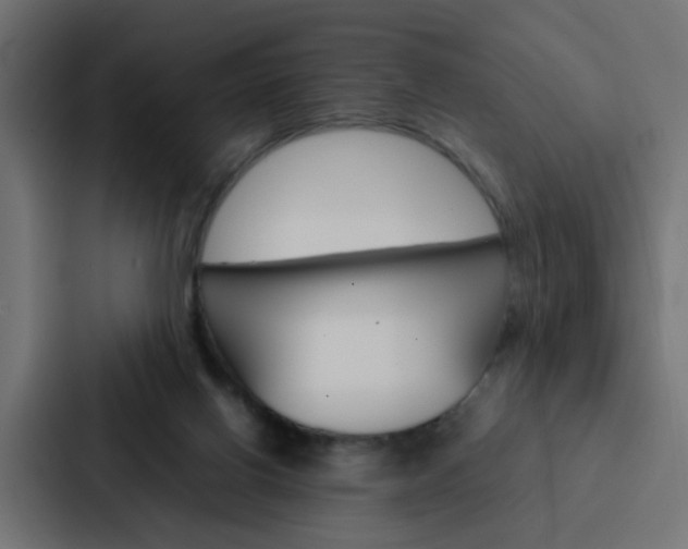 X0000088230070200705151057