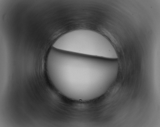 X0000088230071200705151057