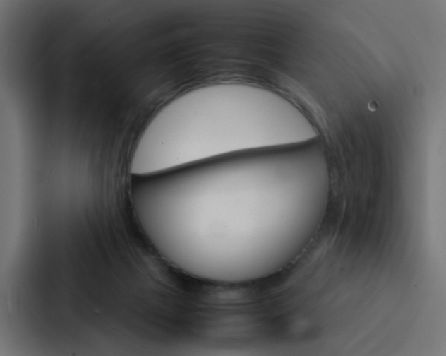 X0000088230073200705151057