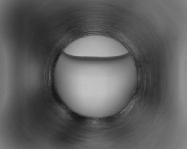 X0000088230074200705151057