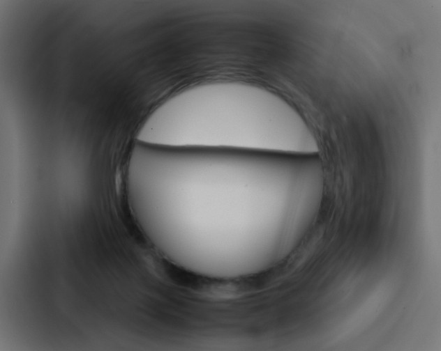 X0000088230075200705151057