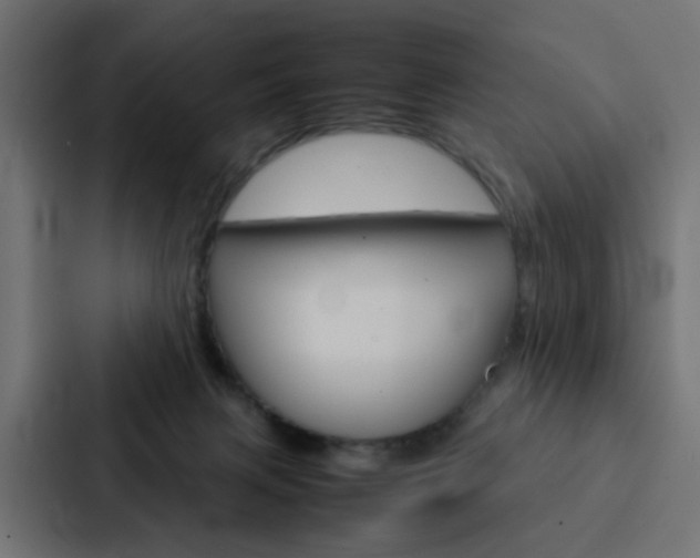 X0000088230079200705151057