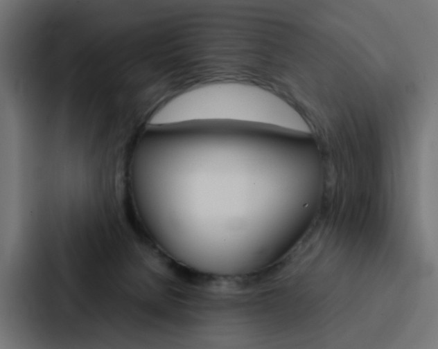 X0000088230080200705151057