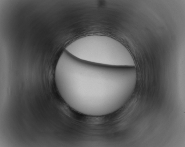 X0000088230081200705151057