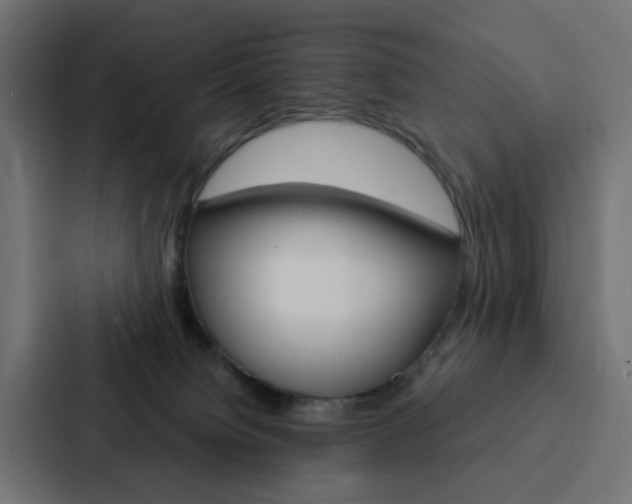 X0000088230084200705151057