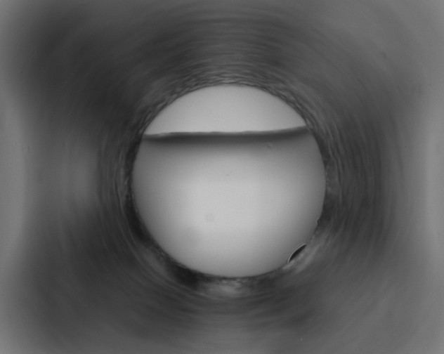 X0000088230086200705151057