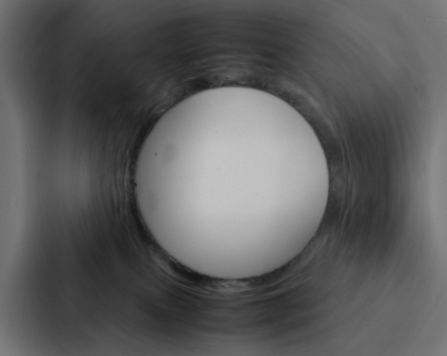 X0000088230087200705151057