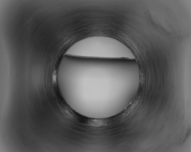 X0000088230095200705151057