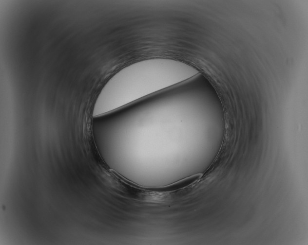 X0000088230096200705151057