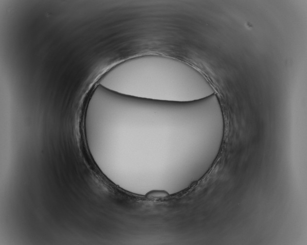 X0000088230098200705151057