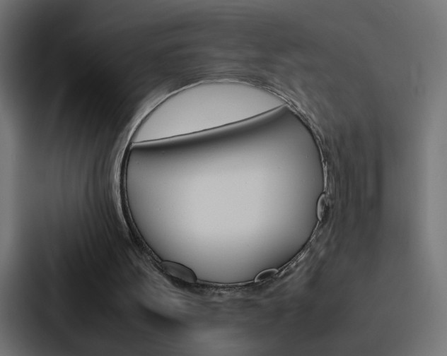 X0000088230099200705151057