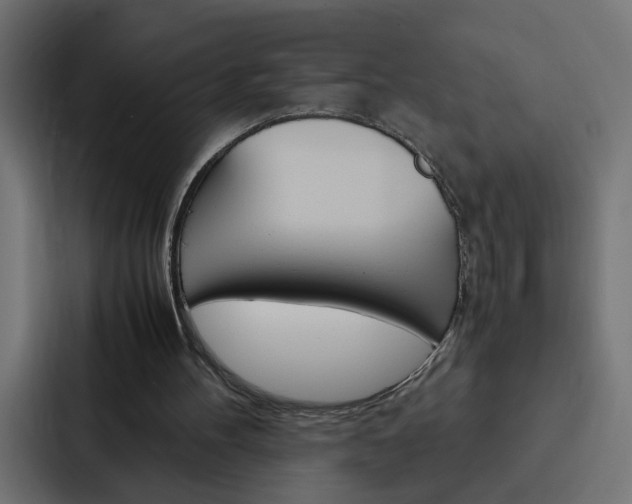 X0000088230100200705151057