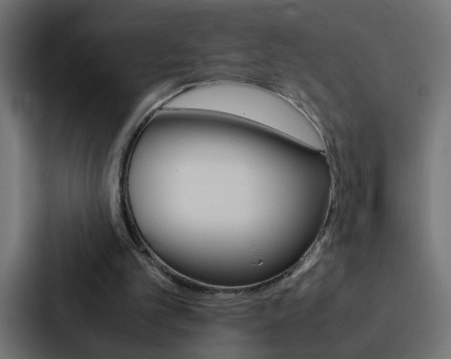 X0000088230101200705151057