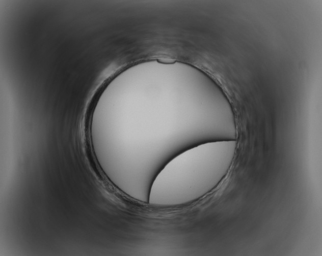 X0000088230102200705151057